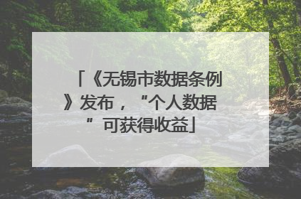《无锡市数据条例》发布，“个人数据”可获得收益
