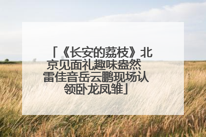 《长安的荔枝》北京见面礼趣味盎然 雷佳音岳云鹏现场认领卧龙凤雏