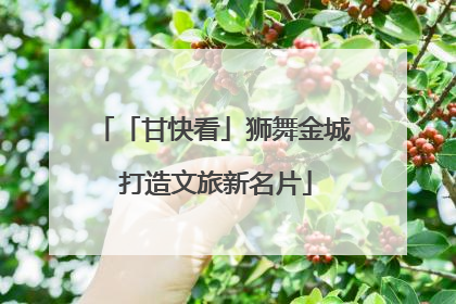 「甘快看」狮舞金城 打造文旅新名片