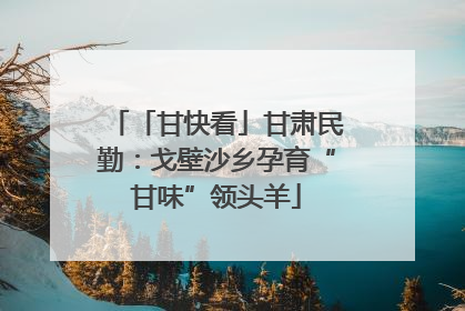 「甘快看」甘肃民勤：戈壁沙乡孕育“甘味”领头羊