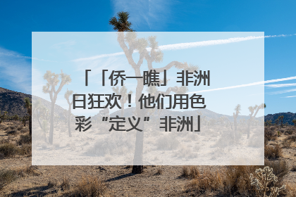 「侨一瞧」非洲日狂欢！他们用色彩“定义”非洲