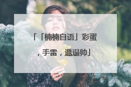 「楠楠自语」彩蛋，手雷，邋遢帅