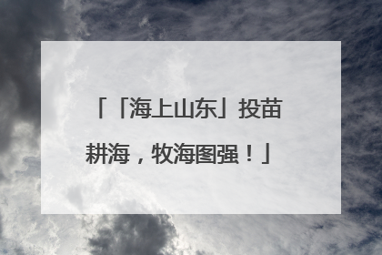 「海上山东」投苗耕海，牧海图强！