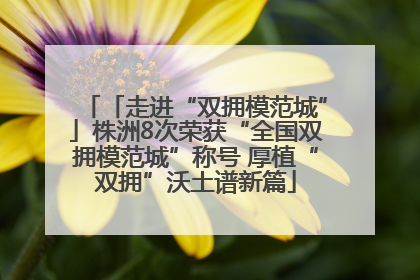 「走进“双拥模范城”」株洲8次荣获“全国双拥模范城”称号 厚植“双拥”沃土谱新篇