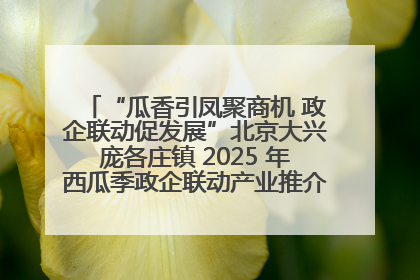 “瓜香引凤聚商机 政企联动促发展”北京大兴庞各庄镇 2025 年西瓜季政企联动产业推介活动圆满举行