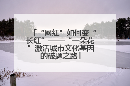 “网红”如何变“长红”——“一朵花”激活城市文化基因的破题之路