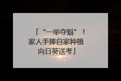 “一举夺魁”！家人手捧自家种植向日葵送考