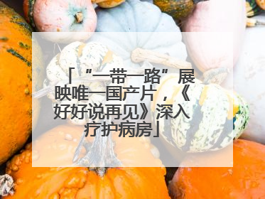 “一带一路”展映唯一国产片，《好好说再见》深入疗护病房