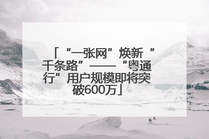 “一张网”焕新“千条路”——“粤通行”用户规模即将突破600万
