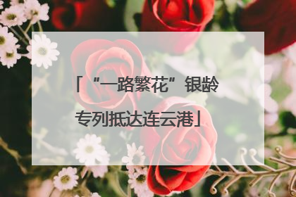 “一路繁花”银龄专列抵达连云港