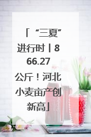 “三夏”进行时丨866.27公斤！河北小麦亩产创新高