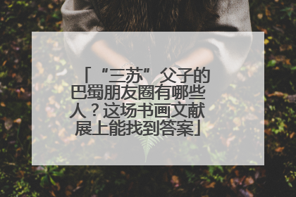“三苏”父子的巴蜀朋友圈有哪些人？这场书画文献展上能找到答案