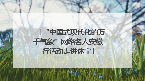 “中国式现代化的万千气象”网络名人安徽行活动走进休宁