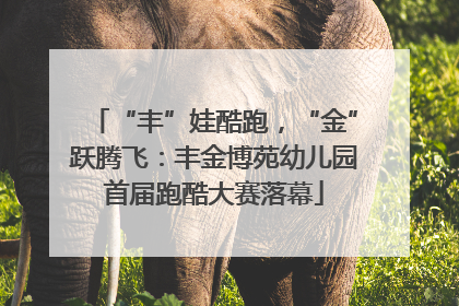 “丰”娃酷跑，“金”跃腾飞：丰金博苑幼儿园首届跑酷大赛落幕