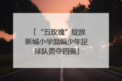 “五玫瑰”绽放 新城小学混编少年足球队勇夺四强