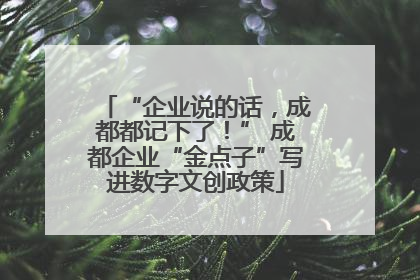 “企业说的话，成都都记下了！” 成都企业“金点子”写进数字文创政策