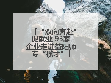 “双向奔赴”促就业 93家企业走进益阳师专“揽才”