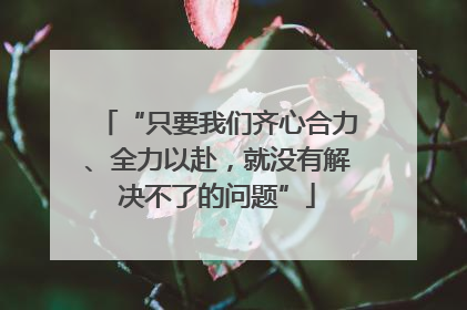 “只要我们齐心合力、全力以赴，就没有解决不了的问题”