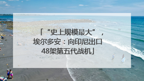 “史上规模最大”，埃尔多安：向印尼出口48架第五代战机