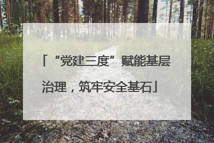“党建三度”赋能基层治理,筑牢安全基石