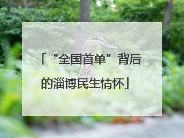 “全国首单”背后的淄博民生情怀