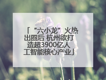 “六小龙”火热出圈后 杭州欲打造超3900亿人工智能核心产业