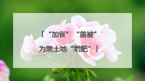 “加餐”“盖被” 为黑土地“增肥”
