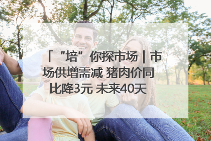 “培”你探市场｜市场供增需减 猪肉价同比降3元 未来40天便宜猪肉敞开吃