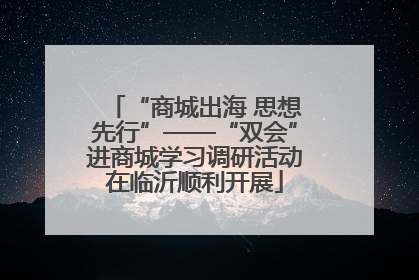 “商城出海 思想先行”——“双会”进商城学习调研活动在临沂顺利开展