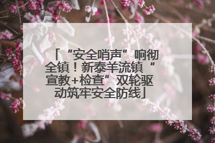 “安全哨声”响彻全镇！新泰羊流镇“宣教+检查”双轮驱动筑牢安全防线