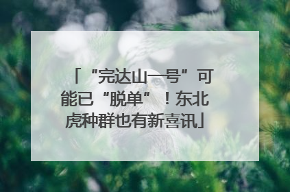 “完达山一号”可能已“脱单”！东北虎种群也有新喜讯