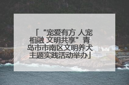 “宠爱有方 人宠相融 文明共享”青岛市市南区文明养犬主题实践活动举办