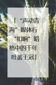 “声动青海”媒体行“扣响”暗格中的千年吐蕃王冠