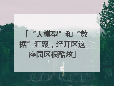 “大模型”和“数据”汇聚，经开区这座园区很酷炫
