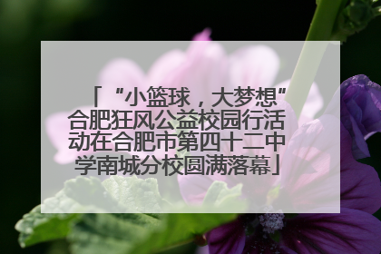 “小篮球，大梦想”合肥狂风公益校园行活动在合肥市第四十二中学南城分校圆满落幕