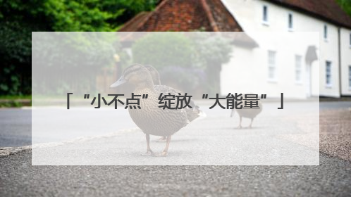 “小不点”绽放“大能量”
