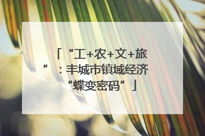 “工+农+文+旅”：丰城市镇域经济“蝶变密码”