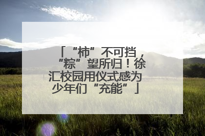 “柿”不可挡，“粽”望所归！徐汇校园用仪式感为少年们“充能”