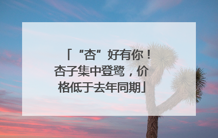 “杏”好有你！杏子集中登鹭，价格低于去年同期