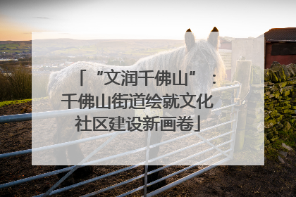 “文润千佛山”：千佛山街道绘就文化社区建设新画卷