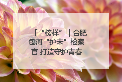 “榜样”｜合肥包河“护未”检察官 打造守护青春成长的永恒灯塔