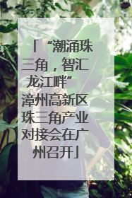 “潮涌珠三角，智汇龙江畔” 漳州高新区珠三角产业对接会在广州召开