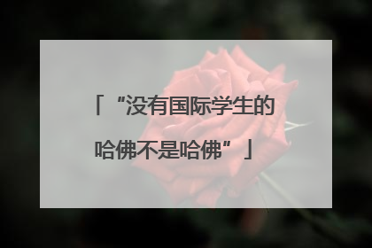 “没有国际学生的哈佛不是哈佛”