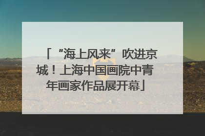 “海上风来”吹进京城！上海中国画院中青年画家作品展开幕