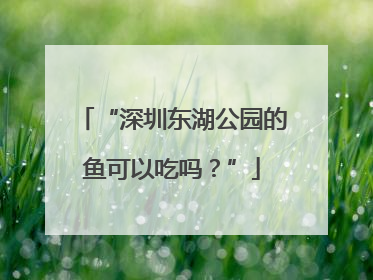 “深圳东湖公园的鱼可以吃吗？”
