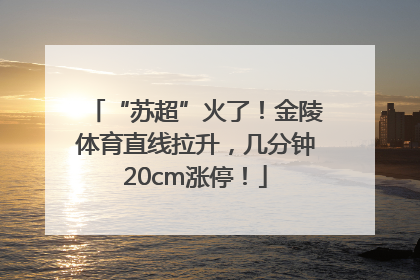 “苏超”火了！金陵体育直线拉升，几分钟20cm涨停！