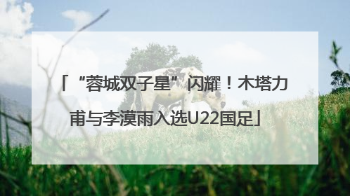 “蓉城双子星”闪耀！木塔力甫与李漠雨入选U22国足