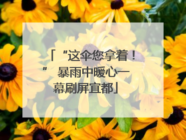 “这伞您拿着！” 暴雨中暖心一幕刷屏宜都