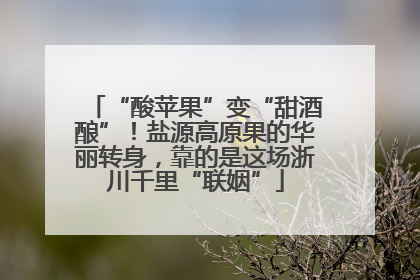 “酸苹果”变“甜酒酿”！盐源高原果的华丽转身，靠的是这场浙川千里“联姻”