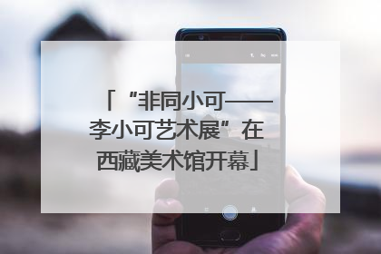 “非同小可——李小可艺术展”在西藏美术馆开幕